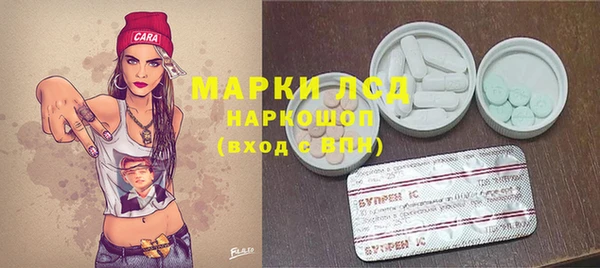 спайс Беломорск