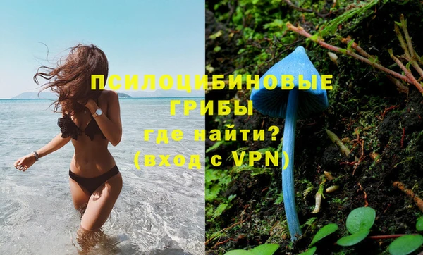 каннабис Белокуриха