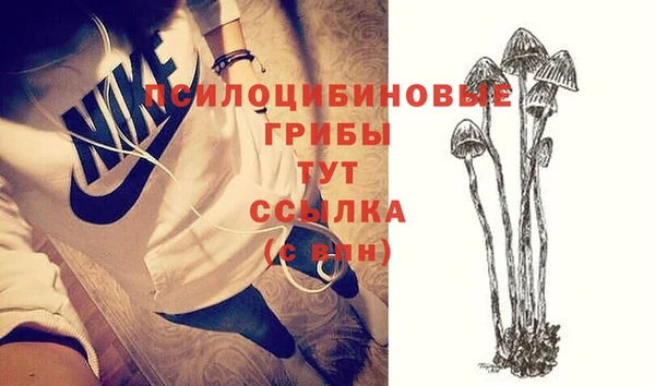 каннабис Белокуриха