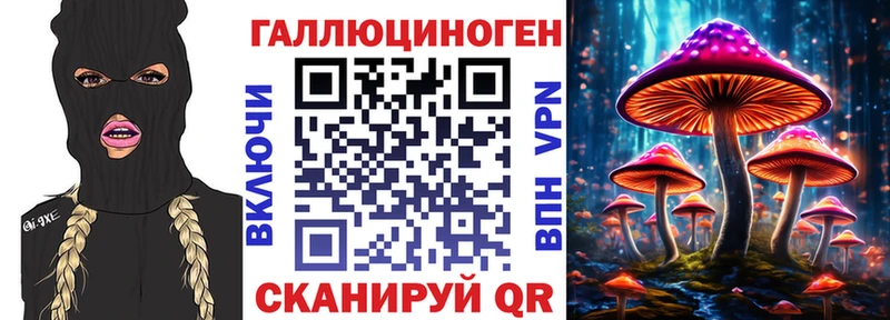 Псилоцибиновые грибы Psilocybe  Гусев 